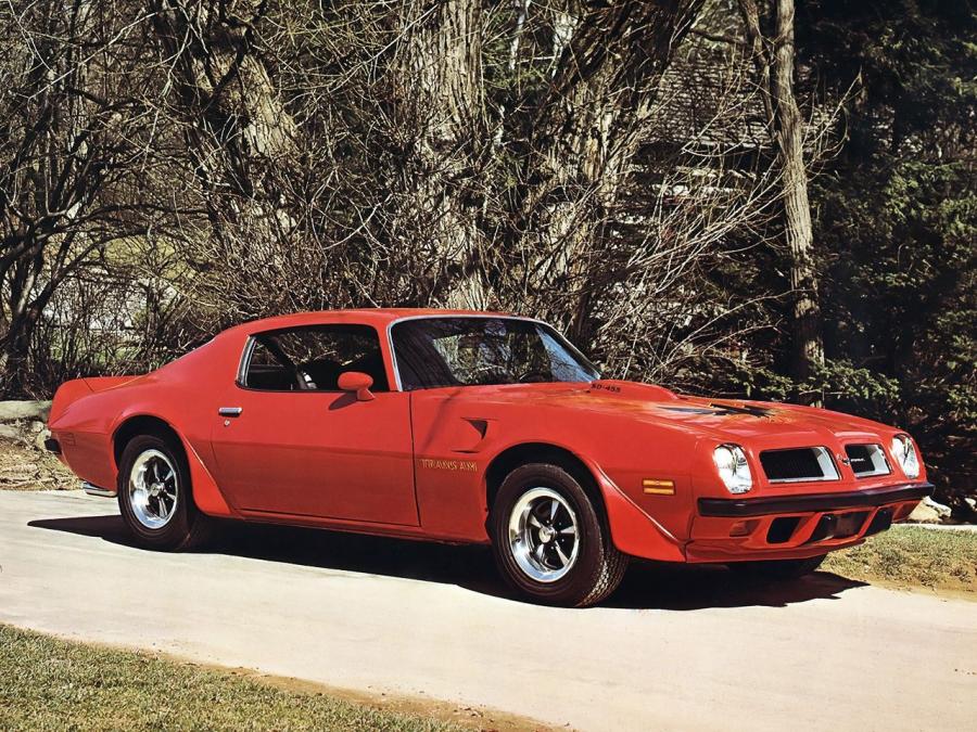  Pontiac Firebird Trans Am 1974 года  (фото 3 из 4)
